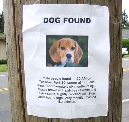 hund-funnet.jpg